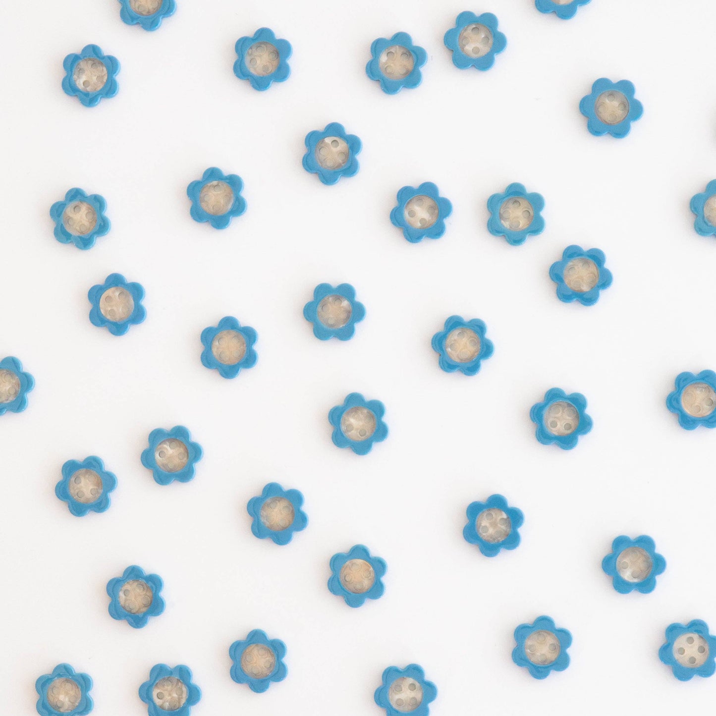 Blue Daisy Small 5/8" Buttons - Sarah Hearts