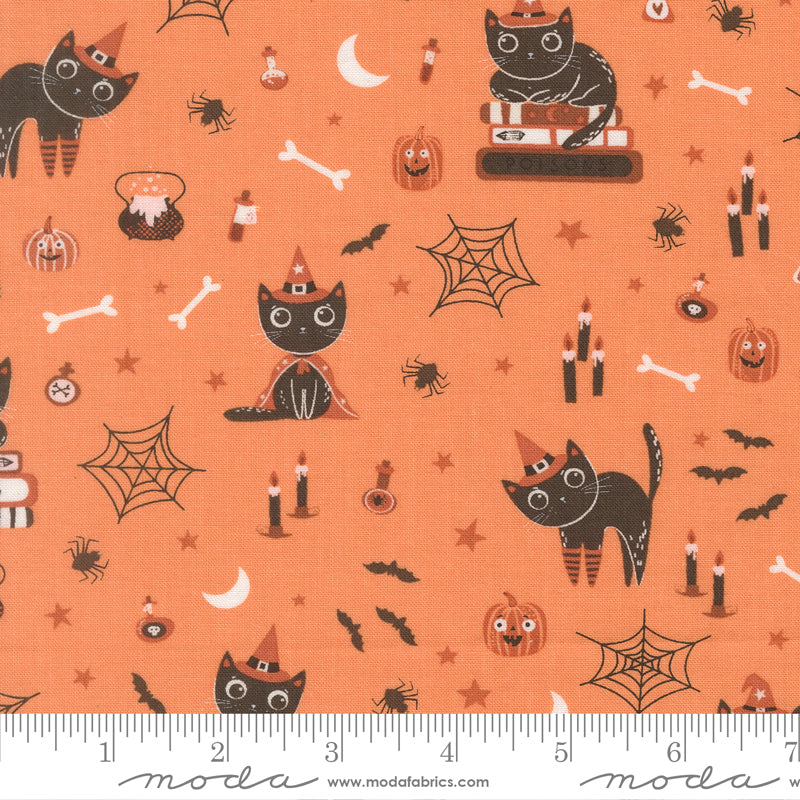 Purrs and Boos - Witch Cats in Pumpkin - Elena Amo