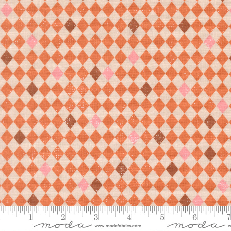 Purrs and Boos - Harlequin in Pumpkin - Elena Amo