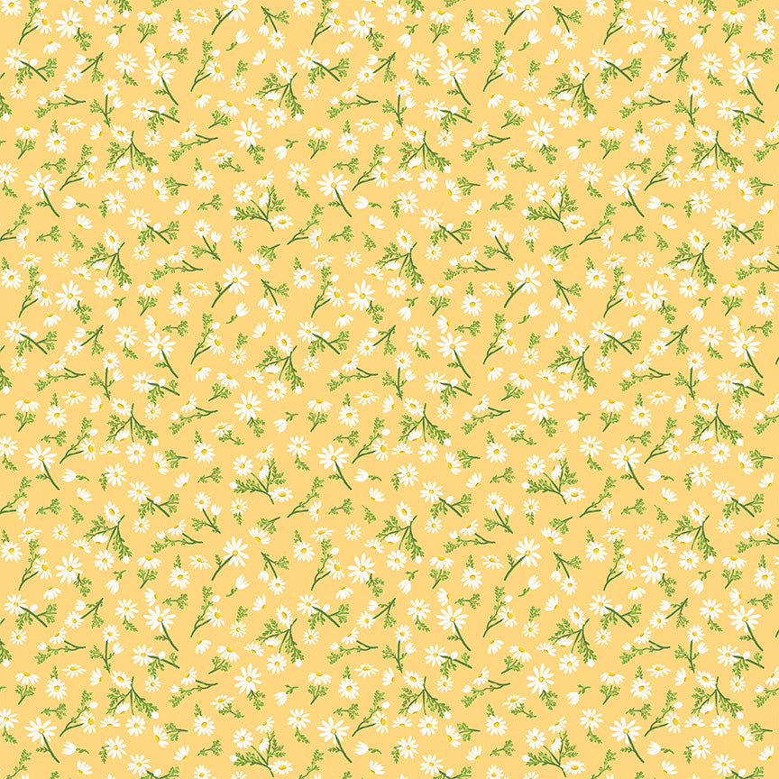 Villa Sol - Chamomile - Monaluna