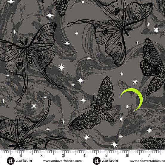 Phantasm - Mystic Moths in Raven- Libs Elliot