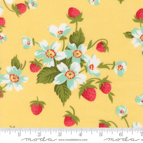 Bloomsberry - In Bloom in Buttermilk - Camille Roskelley