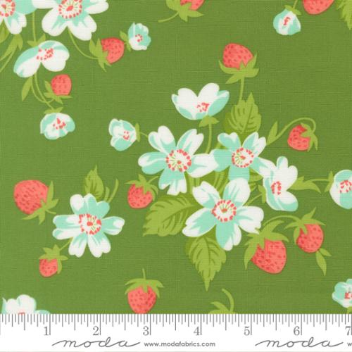 Bloomsberry - In Bloom in Green - Camille Roskelley