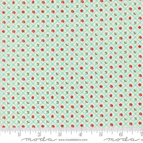 Bloomsberry - Checks in Aqua - Camille Roskelley