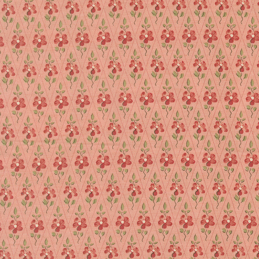 Fleur De Paris - Paquerette in Pale Rose - French General