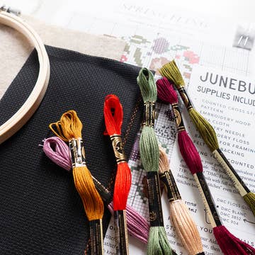 Spring Fling Cross-Stitch Kit - Junebug and Darlin