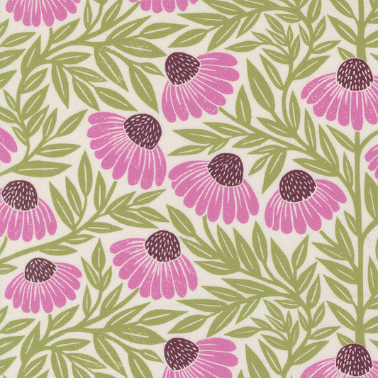 Garden Series - Echinacea in Cream - Katherine Watson