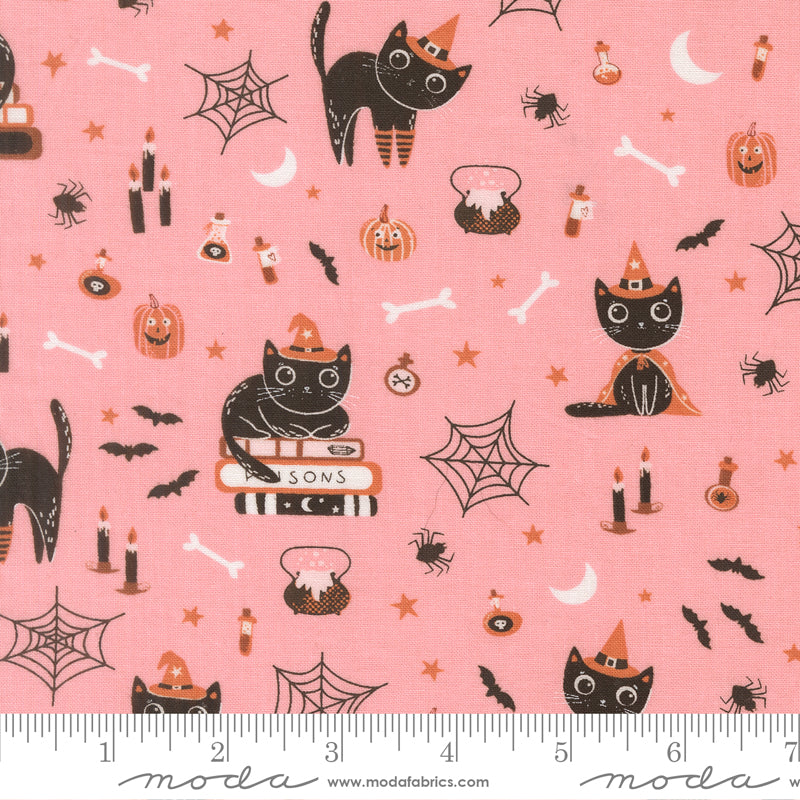 Purrs and Boos - Witch Cats in Candy - Elena Amo