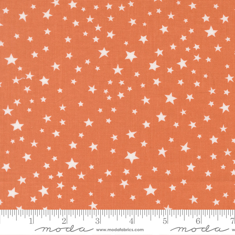 Purrs and Boos - Stars in Pumpkin - Elena Amo