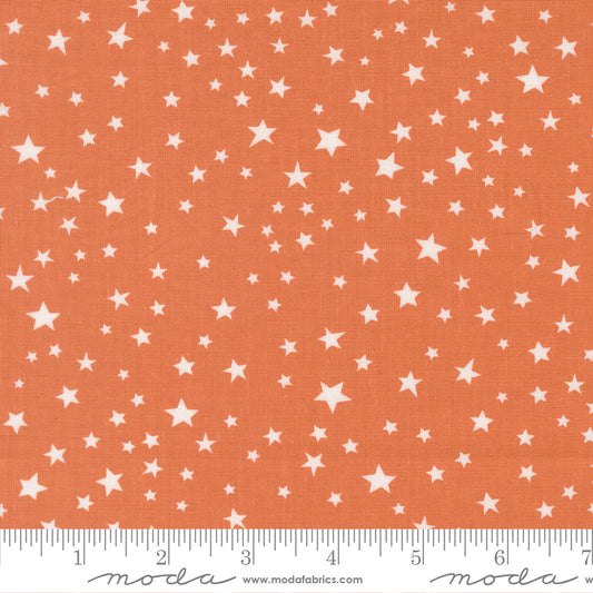 Purrs and Boos - Stars in Pumpkin - Elena Amo