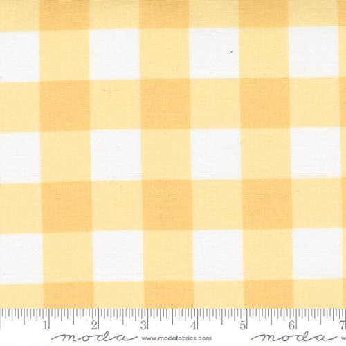 Sunwashed Sunshine (29165 17) by Corey Yoder with Moda Fabrics
