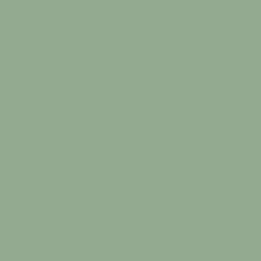 Ruby Bee Solids Celadon (51583-89) by Heather Ross and Annabel Wrigley with Windham Fabrics