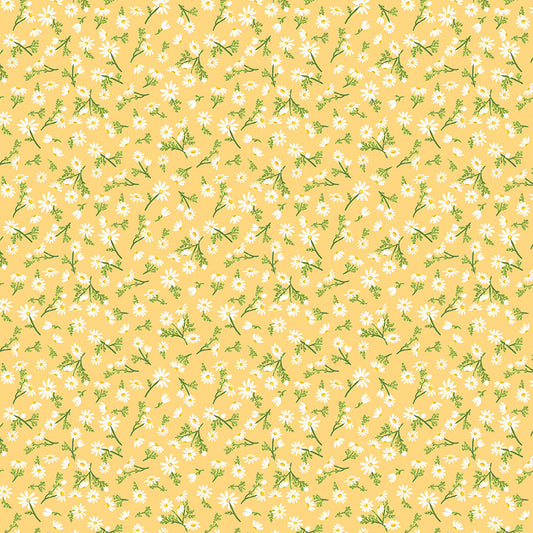 Villa Sol - Chamomile - Monaluna