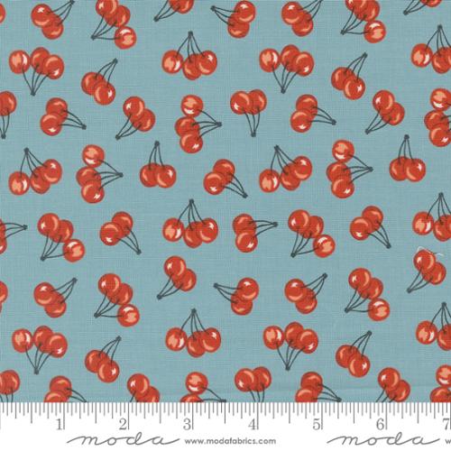 Farmstead Mountain Stream (20906 14) by Stacy Iest Hsu with Moda Fabrics