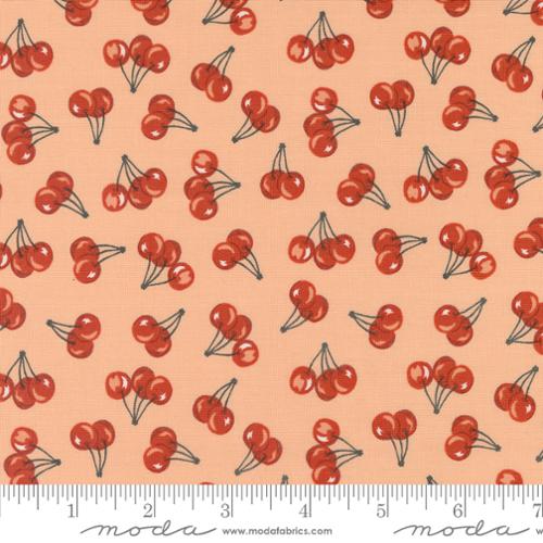 Farmstead Light Coral (20906 20) by Stacy Iest Hsu with Moda Fabrics