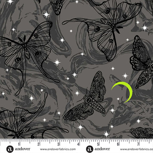 Phantasm - Mystic Moths in Raven- Libs Elliot
