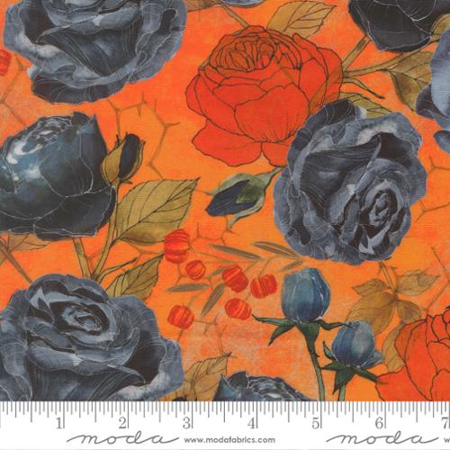 Coven - Rose in Pumpkin - Robin Pickens