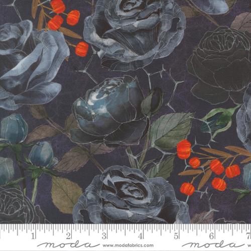 Coven - Rose in Midnight - Robin Pickens