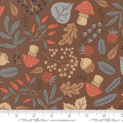 Natures Sketchbook - Forest Finds in Bark - Elena Amo