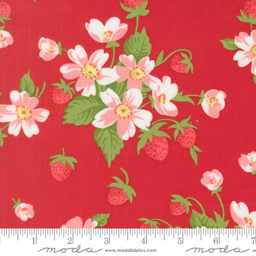 Bloomsberry - In Bloom in Red - Camille Roskelley