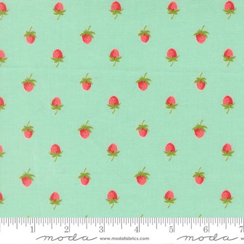 Bloomsberry - Berries in Aqua - Camille Roskelley