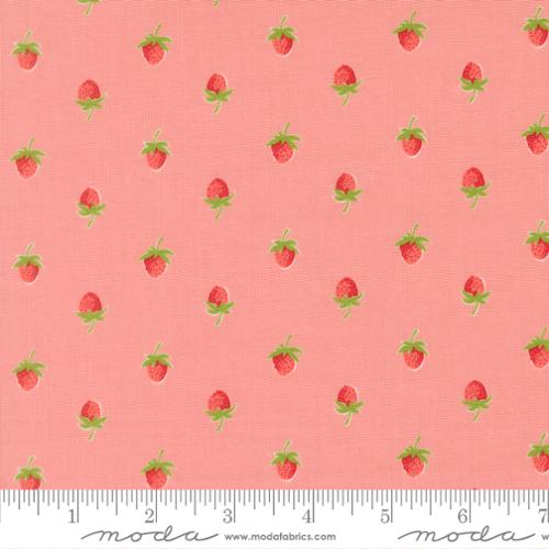 Bloomsberry - Berries in Blush - Camille Roskelley