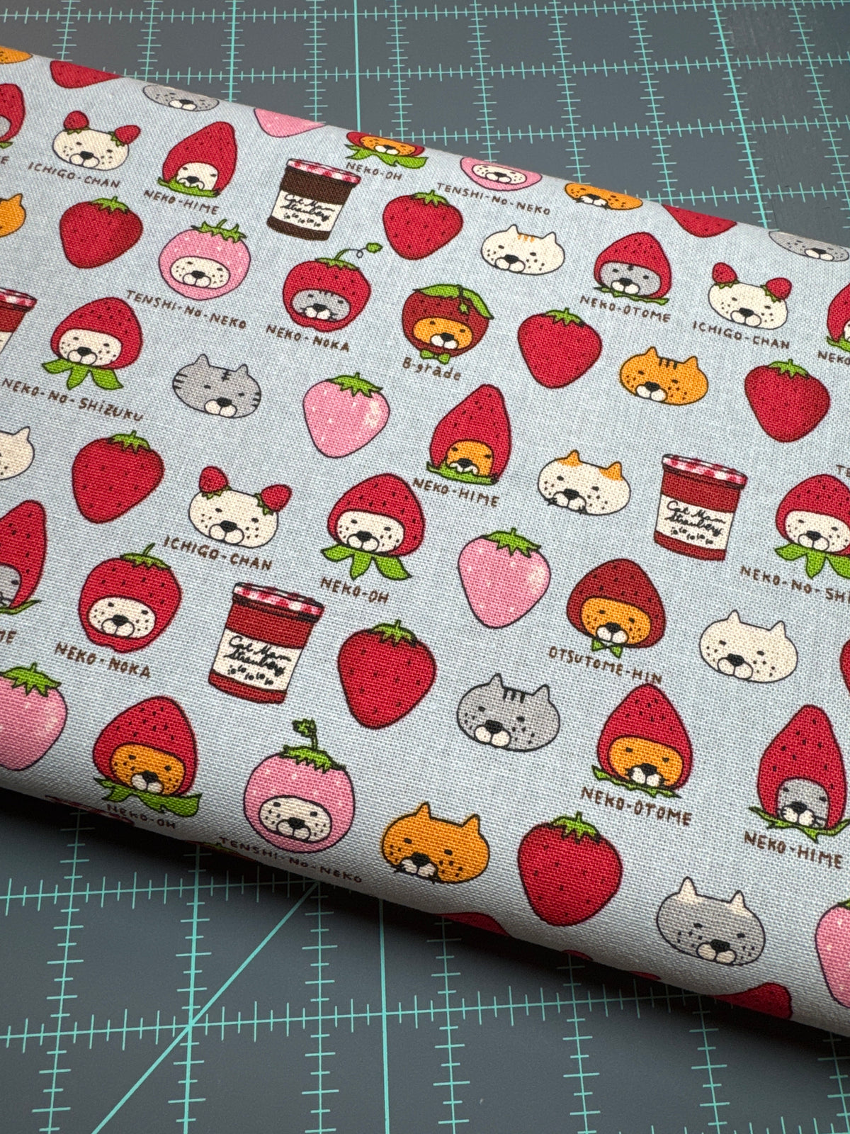 Cartoon Cats with fruit hats - Blue - Coco