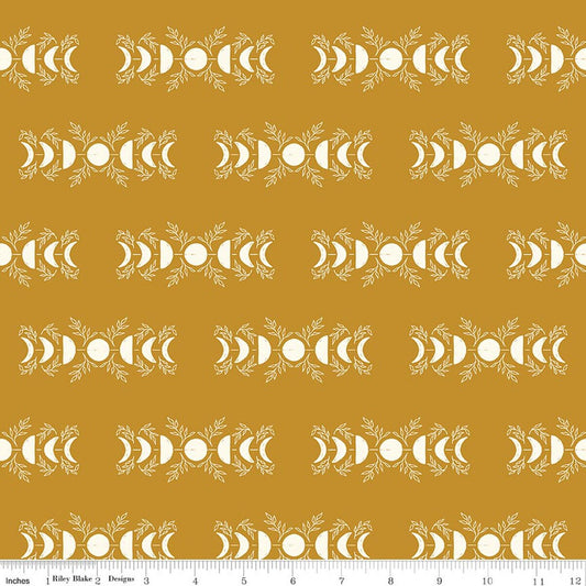 The Apothecary - Celestial Gold - Amber Elliot
