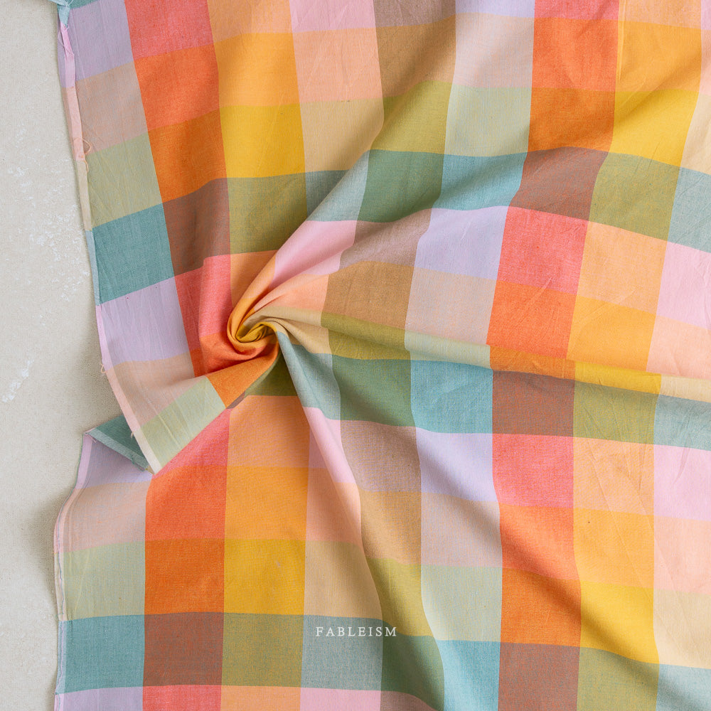 Lumiére - Wide Happy Checkers in Bloom - Fableism Supply Co.