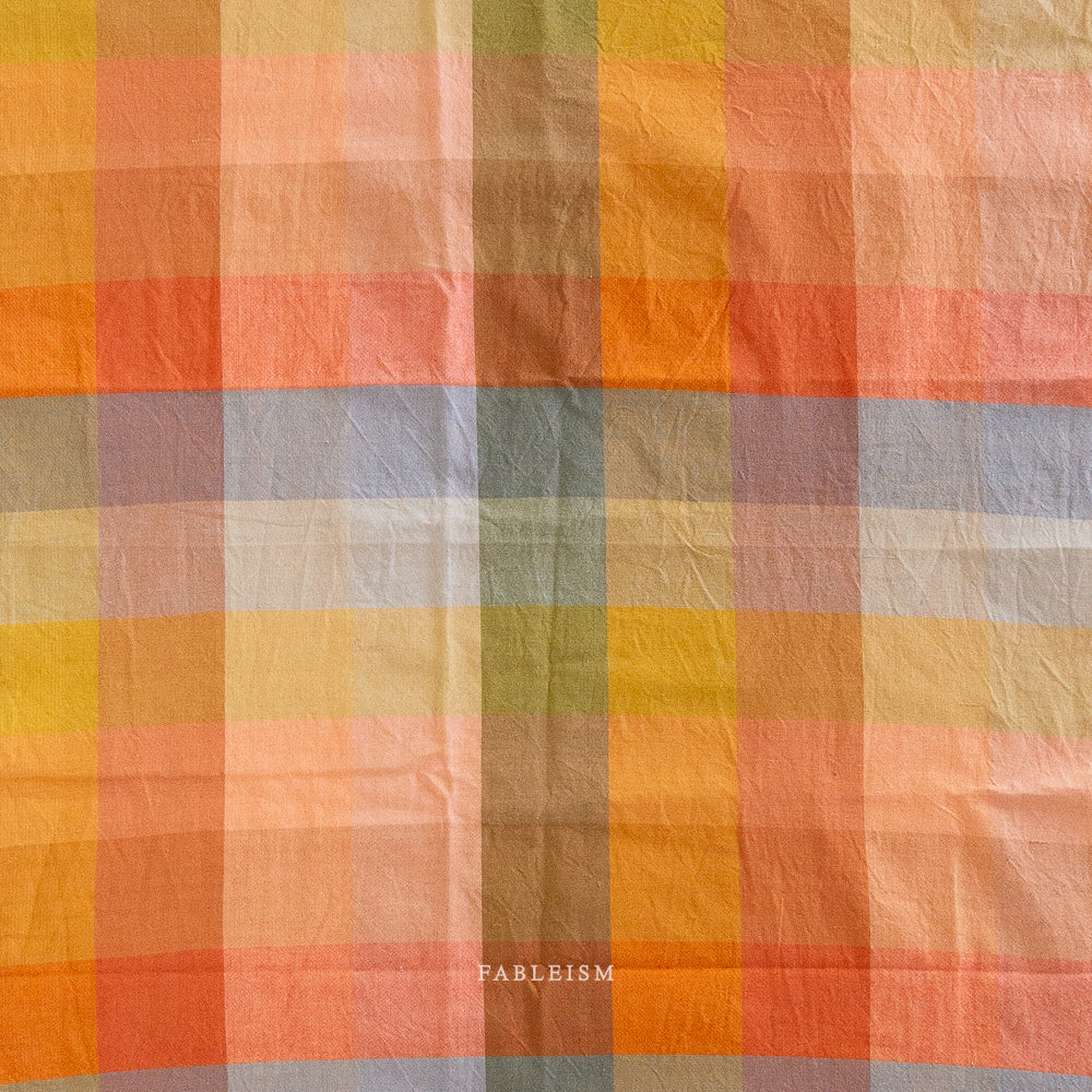 Lumiére - Wide Happy Checkers in Retro - Fableism Supply Co.