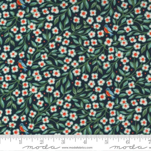 Frankie Sincere Dull Black (30672 12) by BasicGrey with Moda Fabrics