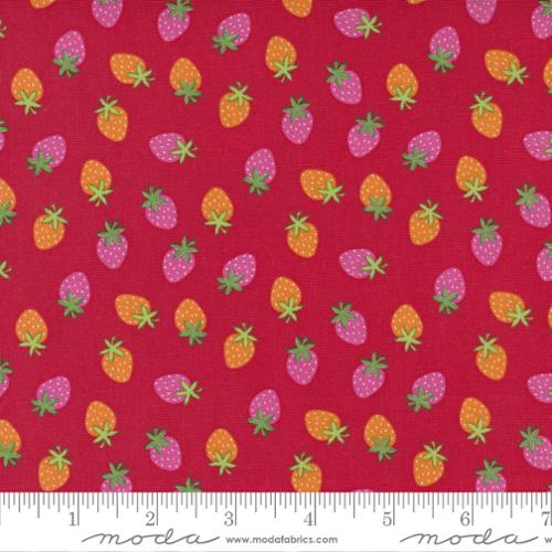 Rainbow Garden Apple (35365 17) by Abi Hall with Moda Fabrics