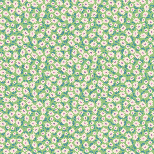 Bluebells and Buttercups - Sugar Daisy in Mint - Elea Lutz