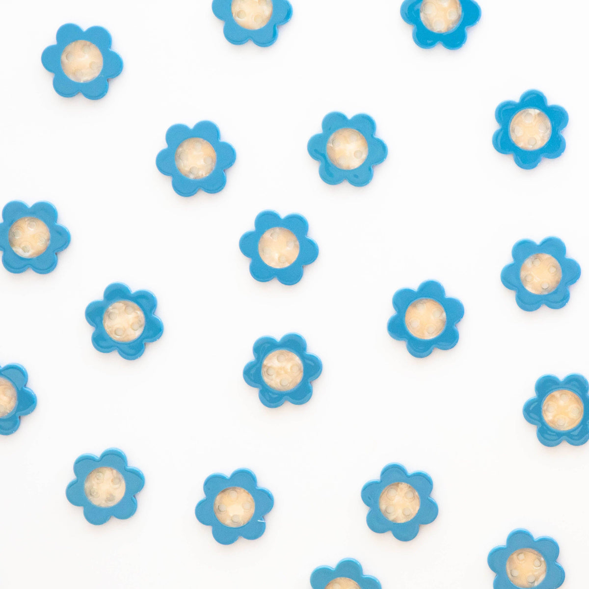 Blue Daisy Large 1" Buttons - Sarah Hearts